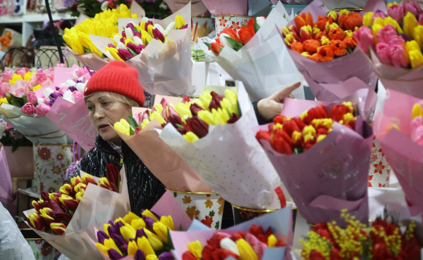 Цены тюльпанов приблизились к розам
Цены тюльпанов приблизились к розам