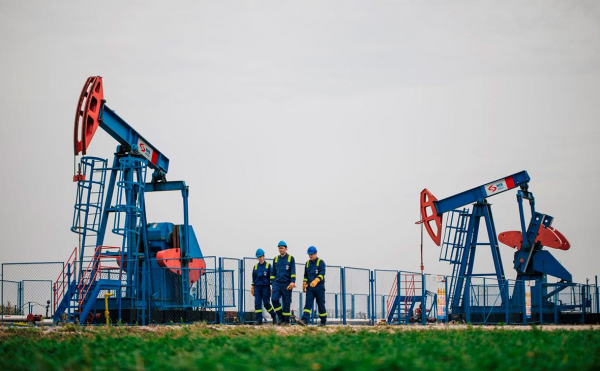 
                    FT сообщила о возможности выкупа доли России в сербской NIS

                