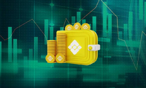 Binance Wallet запустил CEX-to-DEX торговлю
