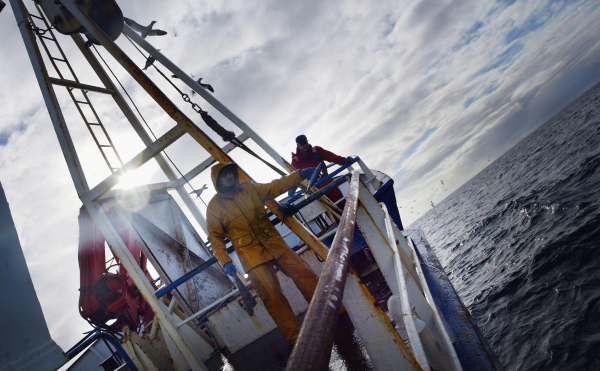 
                    Рыбопромышленники объяснили &laquo;идеологию дешевой рыбы&raquo;

                