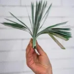 Прогноз курса на месяц: что может обвалить рубль до 100 за доллар?