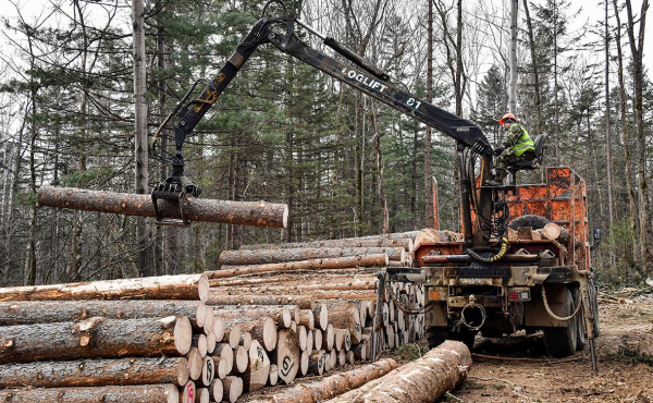 
                    Власти вернулись к идее обязать бизнес продавать до 25% товаров на бирже

                