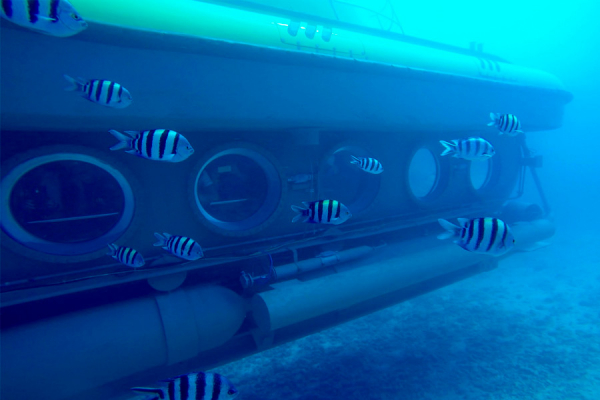 
                    Крушение батискафа &laquo;Синдбад&raquo;: как организованы морские экскурсии в Египте

                