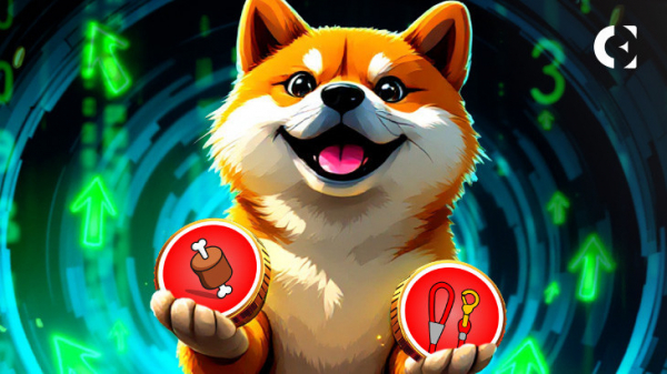 Торговать костями и поводками сиба-ину стало проще благодаря новому листингу на Exchang.io