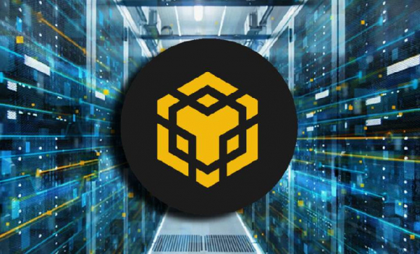 Binance Wallet захватил 55,6% рынка