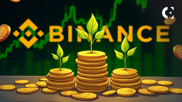 Binance Seeds запускает программы по поиску талантов для роста криптовалюты