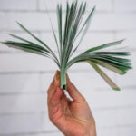 Когда доллар будет по 90-100: прогноз валютного курса