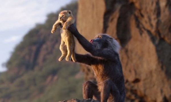 Листинги CEX превосходят IPO Nasdaq и&nbsp;Dow со&nbsp;средней доходностью 80%