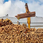 Алиханов заявил о решении проблемы с долгами Segezha Group