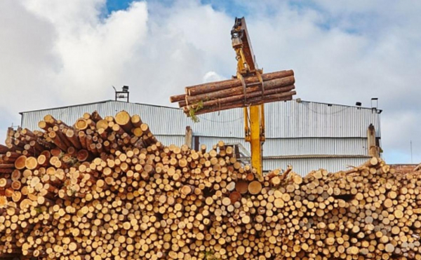 
                    Алиханов заявил о решении проблемы с долгами Segezha Group

                