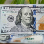 Крупные инвесторы США дали «самый пессимистичный прогноз за 20 лет»: что ждет доллар?