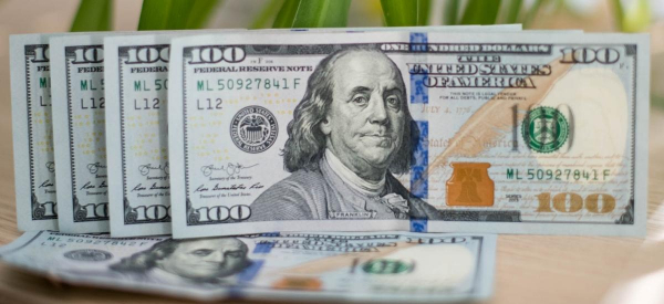 Крупные инвесторы США дали &laquo;самый пессимистичный прогноз за 20 лет&raquo;: что ждет доллар?