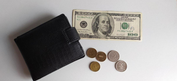 Рост или падение доллара: какой курс россияне ждут к лету?