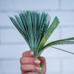 Что делать с деньгами сейчас: как сохранить и приумножить рублевые накопления?