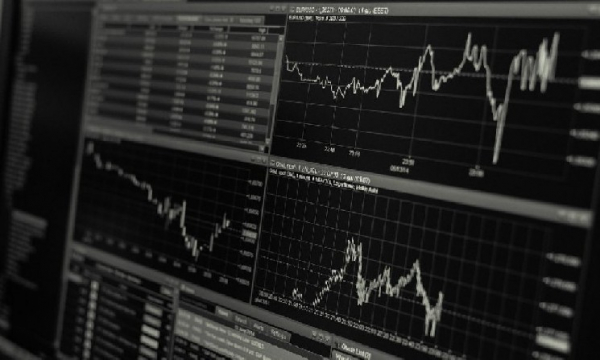 Генеральный директор ARK хвалит Coinbase и Tesla за то, что они возглавляют трансформацию блокчейна и фондового рынка