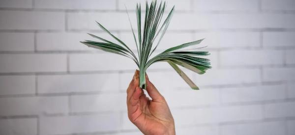 &laquo;Рубль растет на ожиданиях переговоров&raquo;: что будет курсом доллара и евро?