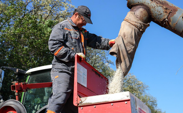 
                    Власти вернутся к вопросу индексации внутренних цен на удобрения осенью
                
