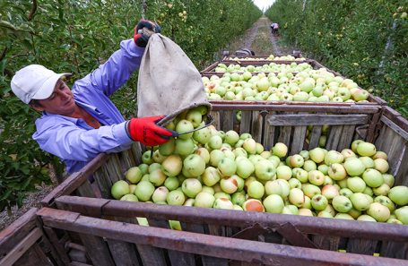 Сельхозпроизводители почти перестали брать кредиты
