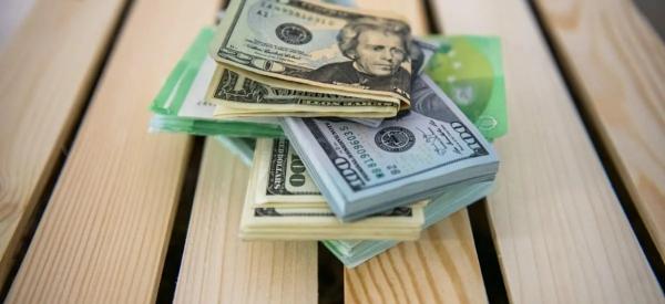 Доллар упал до 74 &ndash; и это не предел, предупредила экономист