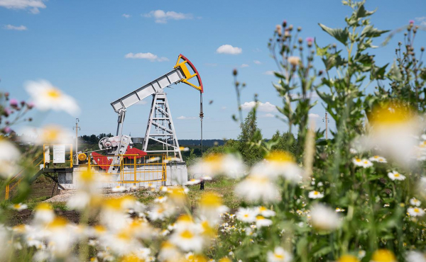 
                    ОПЕК+ договорилась об увеличении добычи нефти на фоне давления Трампа
                