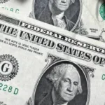 «Черные лебеди» возвращаются? Чего ждать от курса доллара и рубля в сентябре