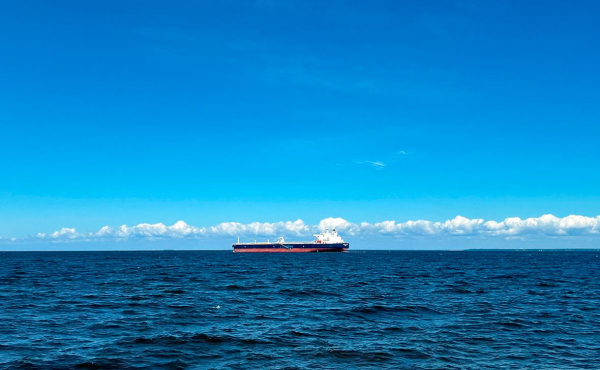 
                    Топливо для судов подорожало из-за новых правил захода в порты России
                