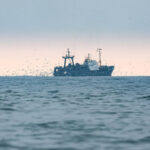 Экс-губернатор Приморья назвал главную проблему рыбной отрасли