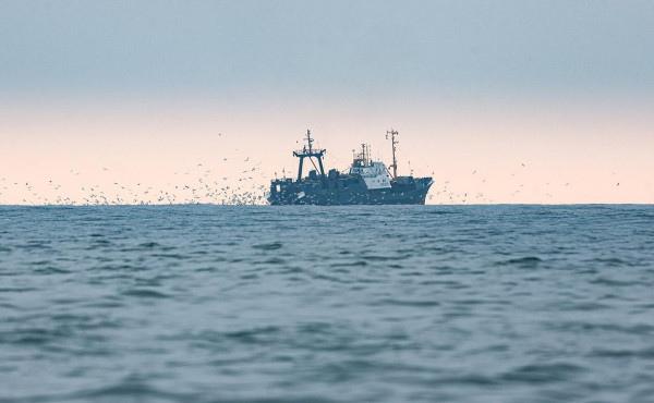 
                    Экс-губернатор Приморья назвал главную проблему рыбной отрасли
                