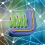 Binance и 1inch контролируют основные потоки ликвидности токенов стандарта ERC20