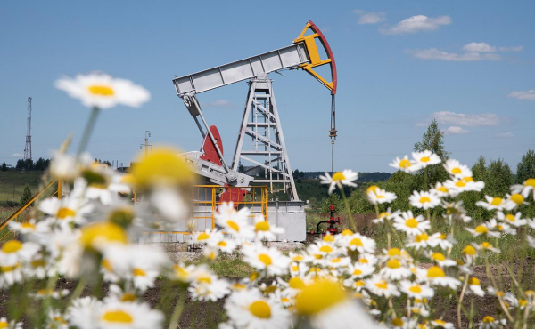 
                    ESG-повестка перестала быть актуальной для бизнеса при высоких ставках
                