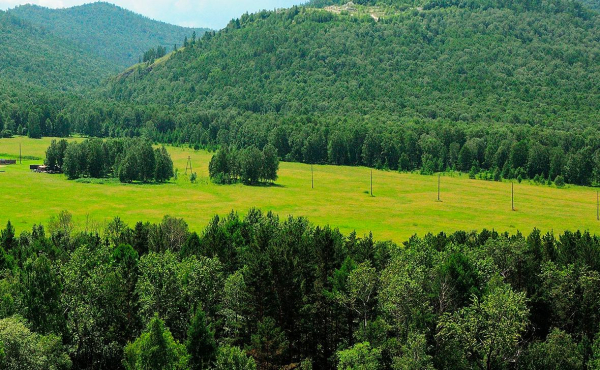 
                    Рослесхоз подал в суд на агроструктуру &laquo;Русала&raquo; из-за земли в Хакасии
                