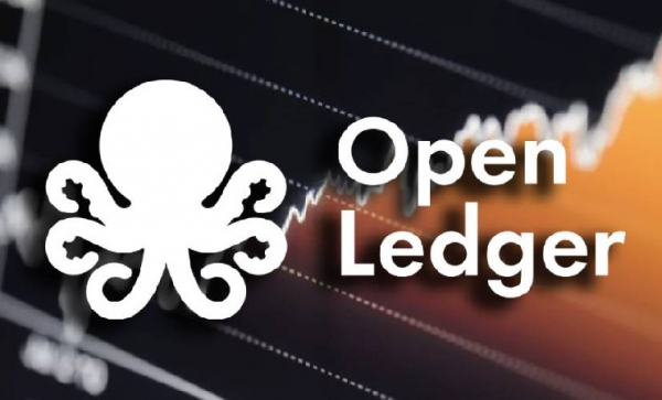 Биржа Binance анонсировала HODLer Airdrop для токена OPEN