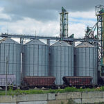 Первый за 30 лет железнодорожный состав с российским зерном прибыл в Армению