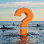 Шокирующий перевод 460 миллионов долларов в стейблкоинах USDT