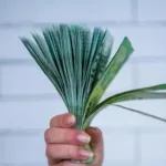 Почему рост зарплат не делает нас богаче и как остановить обесценивание доходов?